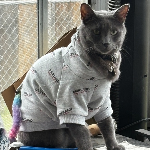 Ash 🩶 - Picture 2 of 7